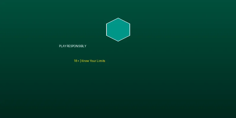 负责任博彩 - 赌博软件